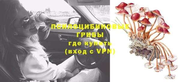 прущий лед Михайлов