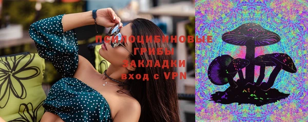 прущий лед Михайлов