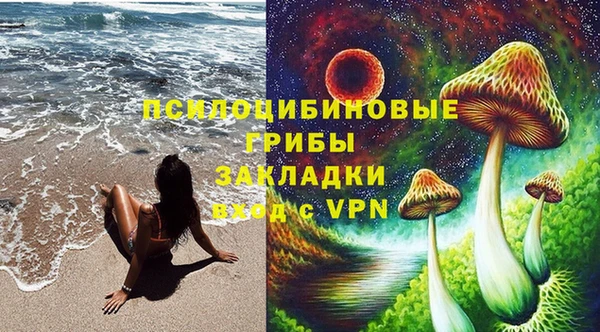 прущий лед Михайлов