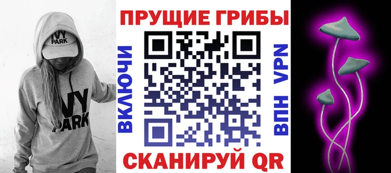 KRAKEN как зайти  Торопец  Псилоцибиновые грибы ЛСД  цена наркотик 