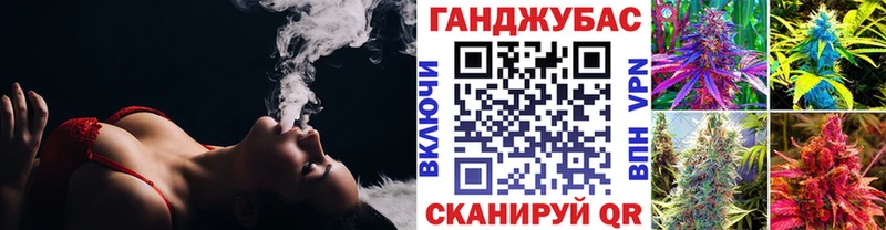 как найти закладки  Торопец  shop телеграм  Бошки Шишки THC 21% 